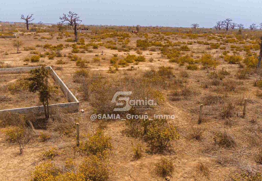 @Samia_group_THIES_VDN3-03