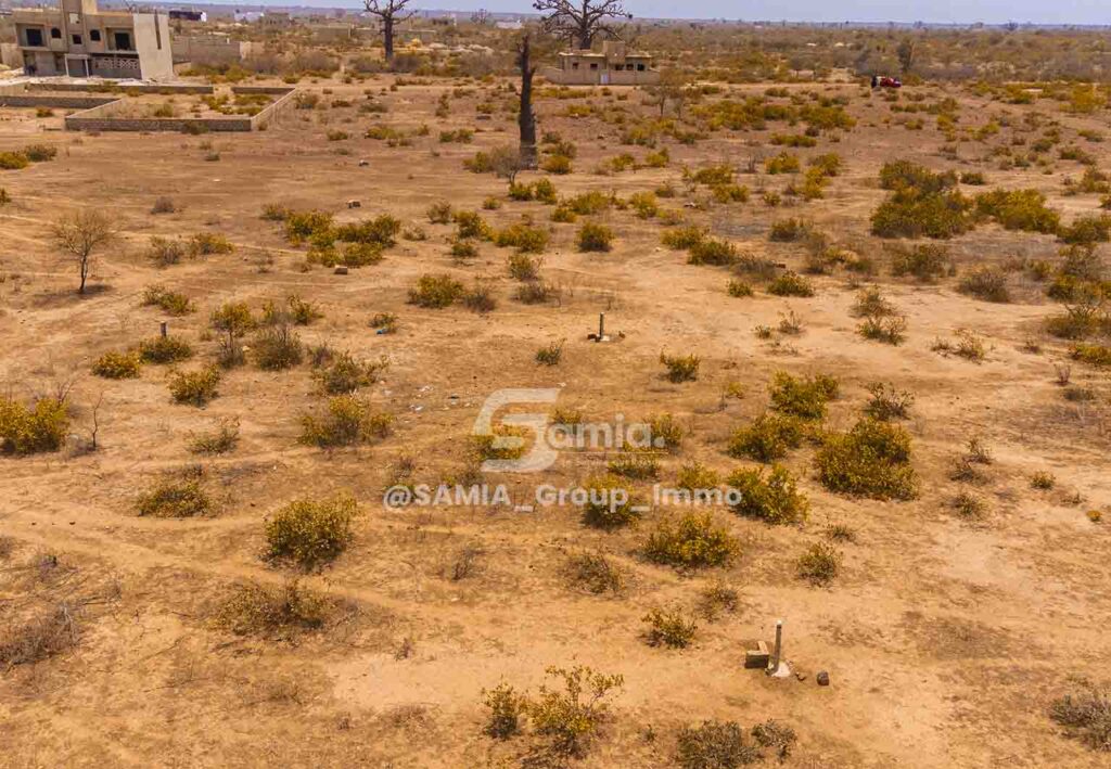 @Samia_group_THIES_VDN3-04-1