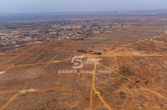 Terrain à Khinine : pourquoi investir avec SAMIA Immobilier ?